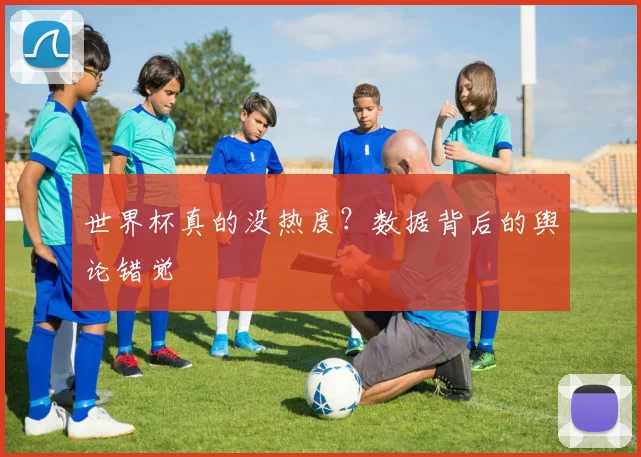 世界杯真的没热度？数据背后的舆论错觉
