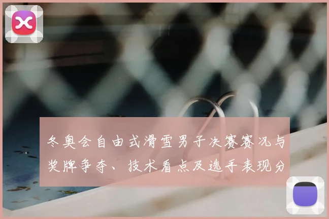 冬奥会自由式滑雪男子决赛赛况与奖牌争夺、技术看点及选手表现分析